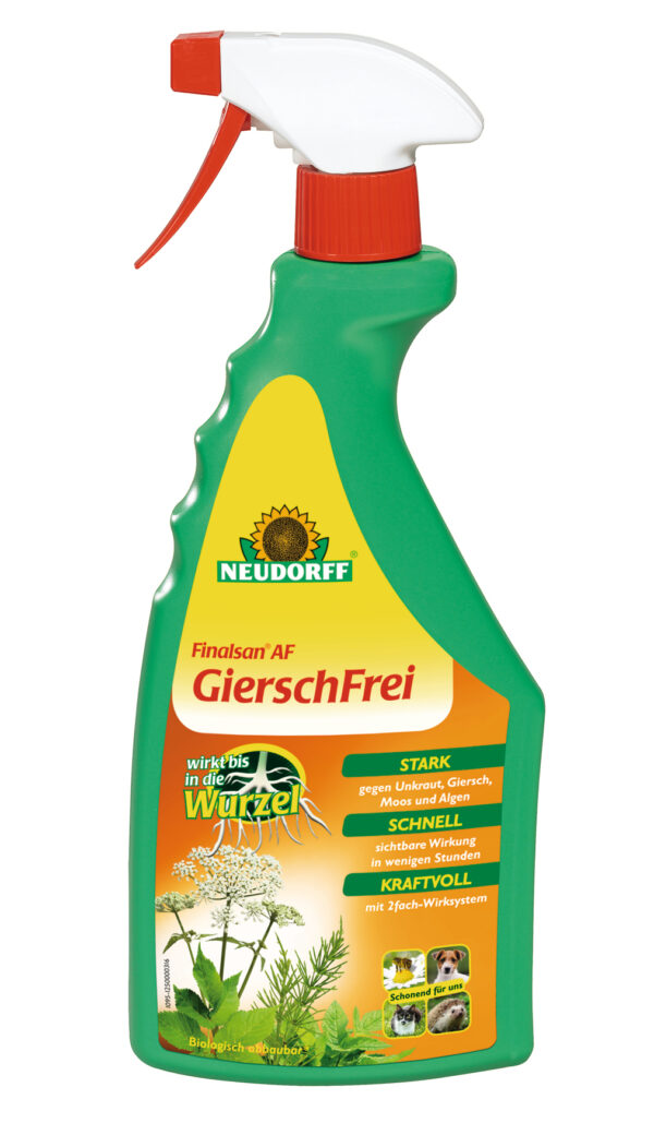 1556758 finalsan af gierschfrei