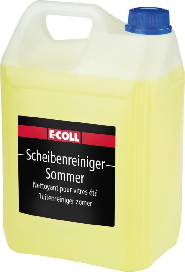 1742838 scheibenreiniger sommer 5l fertiggemisch