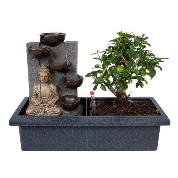 Bonsai Waterval (budha) - Ø15cm - ↕30cm